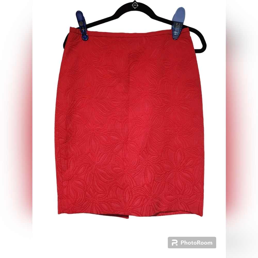 The Limited Red Embroidered Floral Skirt Size 6